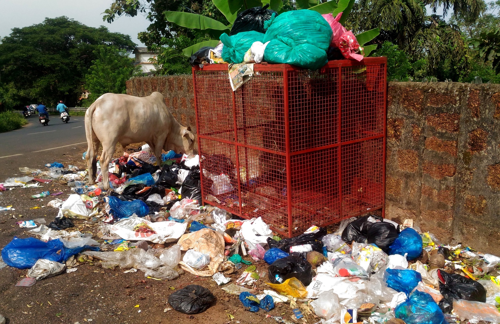 SPOTLIGHT | ROADSIDE DUMPING: WHY GOA FALTERS