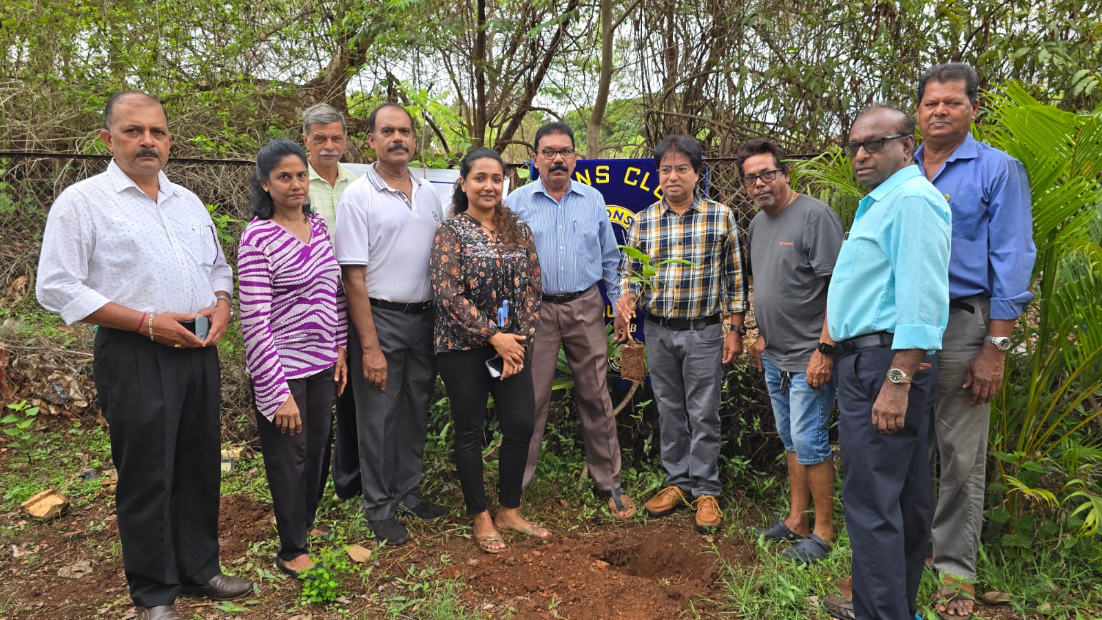Plant trees, reduce plastic use to   save environment, residents told